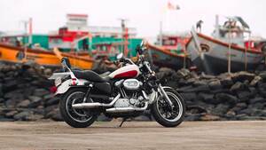 Lien vers Harley-Davidson Sportster